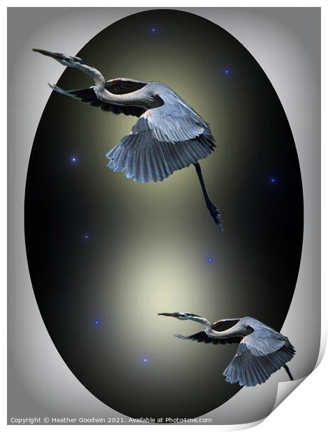 Heron Escape Print by Heather Goodwin