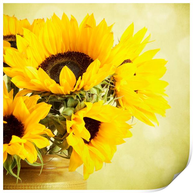 Sunflowers In A Jar Print by Lynne Davies