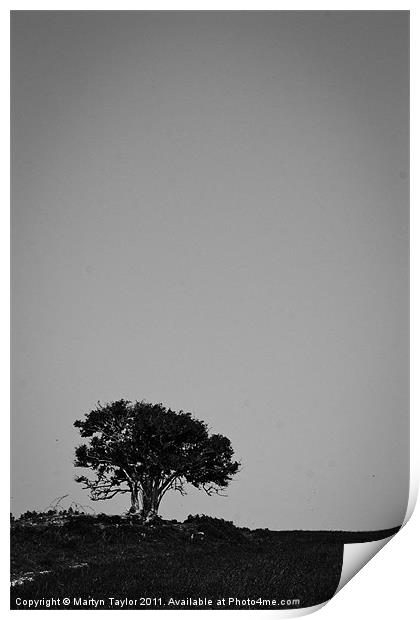 Lone Tree Print by Martyn Taylor