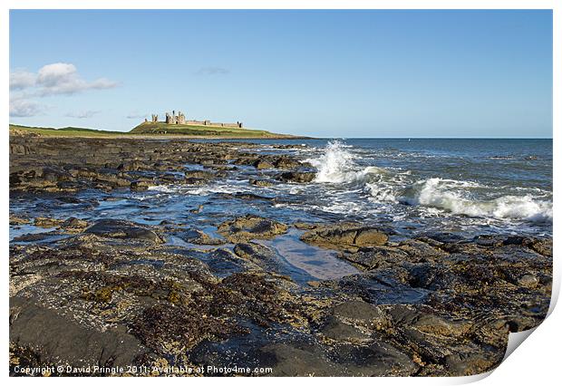 Dunstanburgh Castle Print by David Pringle