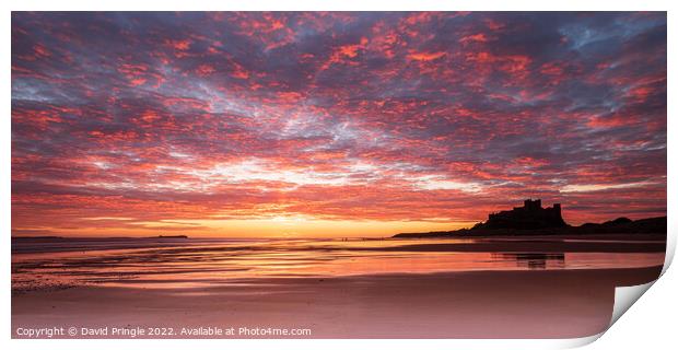 Bamburgh Castle Sunrise Print by David Pringle