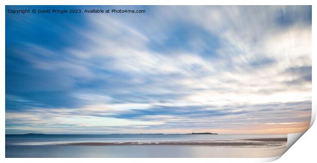 Northumberland Coast Print by David Pringle