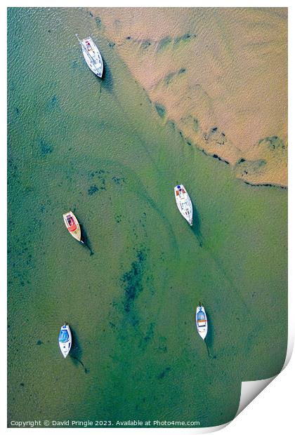 River Aln Estuary Print by David Pringle