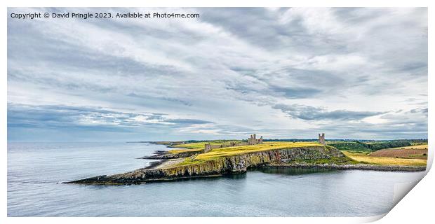 Dunstanburgh Castle Print by David Pringle