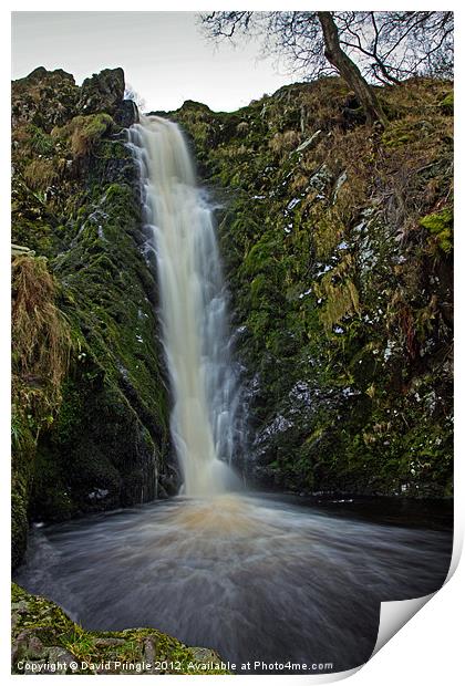 Linhope Spout Waterfall Print by David Pringle
