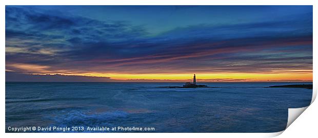 St Mary’s Lighthouse Print by David Pringle