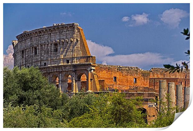 Colosseum Print by David Pringle