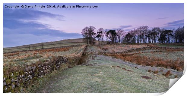 Roman Wall Country Print by David Pringle