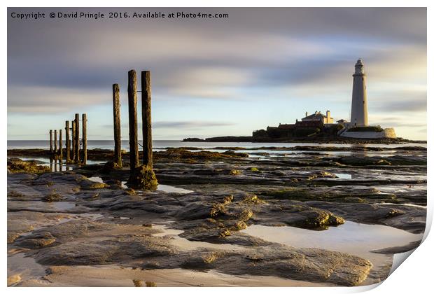 St. Mary's Lighthouse Print by David Pringle