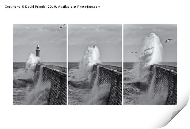 Tynemouth Pier Triptych Print by David Pringle