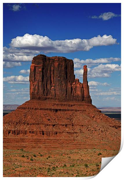 The East Mitten Butte Print by David Pringle