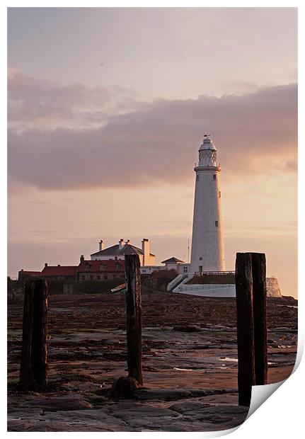 St. Marys Lighthouse After Sunrise Print by David Pringle