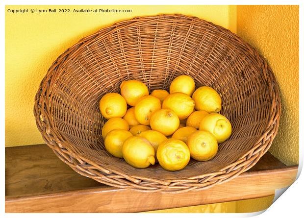 Basket of Lemons Print by Lynn Bolt