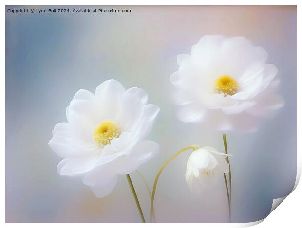 Three White Flowers Print by Lynn Bolt