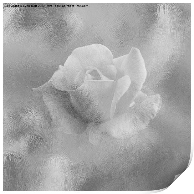 Textured Rose Print by Lynn Bolt