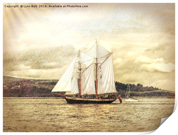 Full Sail Print by Lynn Bolt