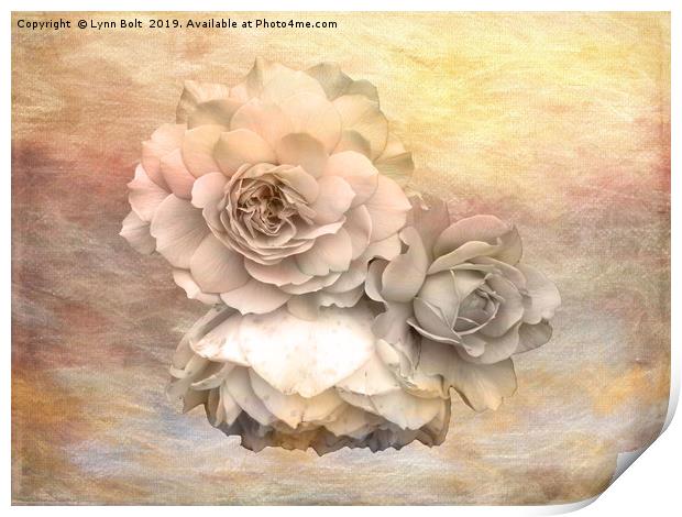 Roses Print by Lynn Bolt