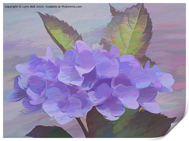 Purple Hydrangea Print by Lynn Bolt