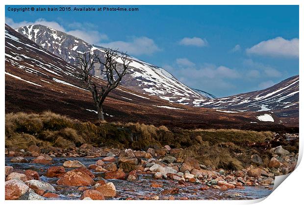  lonely tree Glen Derry Print by alan bain