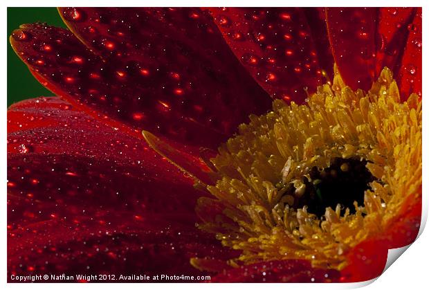 Red wet Print by Nathan Wright