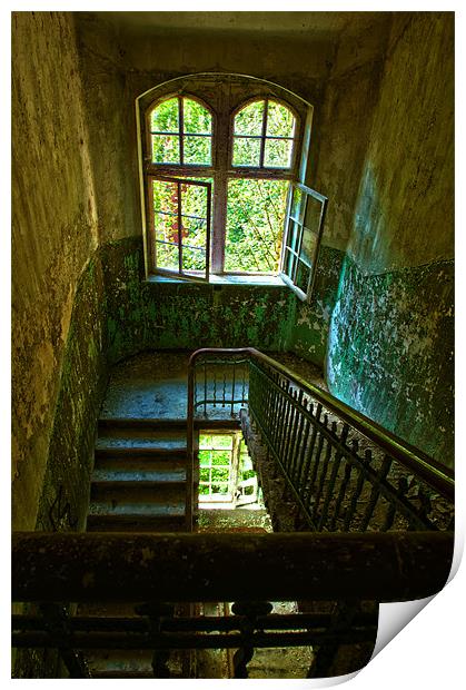 Windows and Stairs Print by Nathan Wright