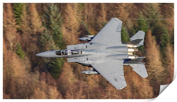 F15- Strike Eagle Print by Rory Trappe