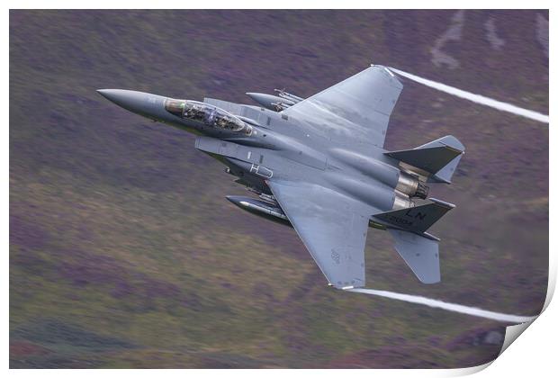 F14 Eagle low level Print by Rory Trappe