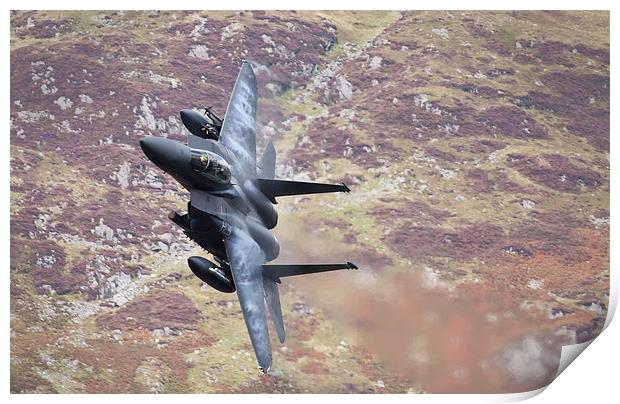 F15 - Eagle Print by Rory Trappe