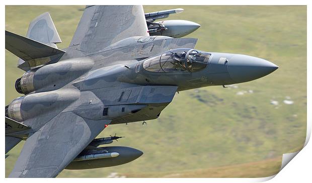  F15 C of 493rd Fighter Squadron - The Grim Reaper Print by Rory Trappe