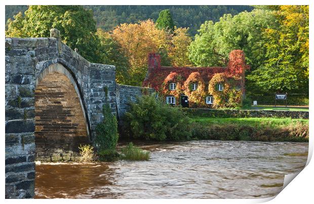 Autumn at Llanrwst Print by Rory Trappe