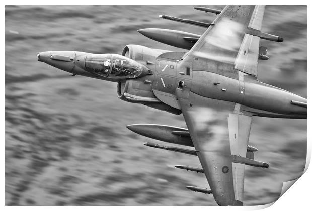 RAF Harrier Print by Rory Trappe