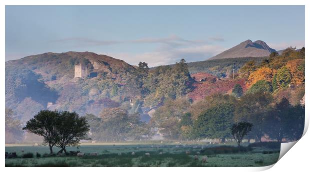 Dolwyddelan in the autumn Print by Rory Trappe