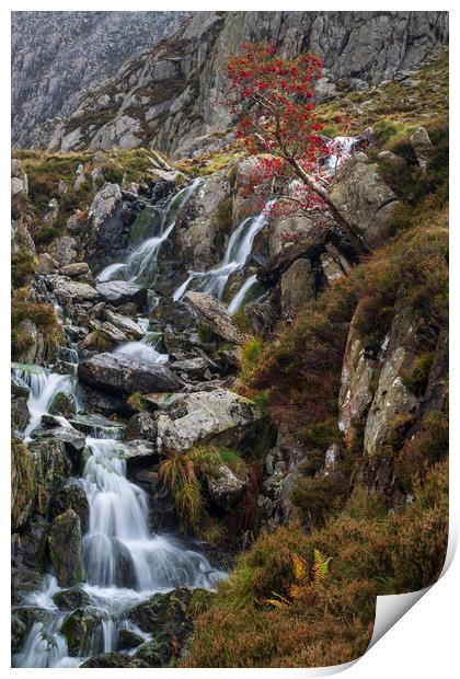 Stream from Llyn Bochlwyd Print by Rory Trappe
