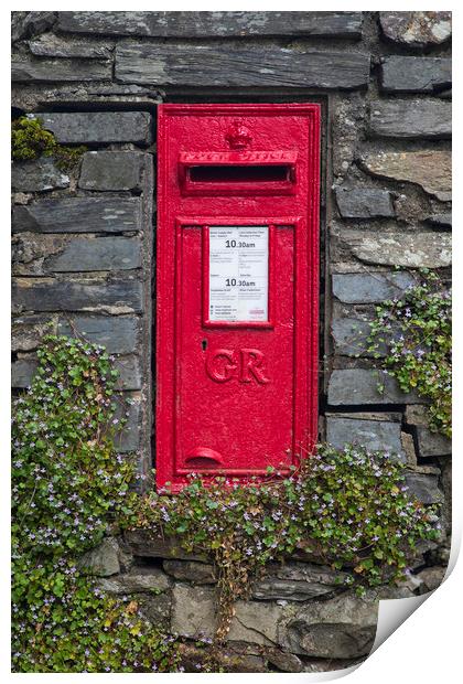 Post box Print by Rory Trappe