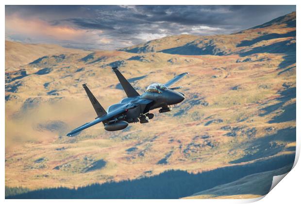 F15 Eagle Print by Rory Trappe
