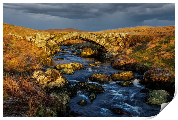  Migneint pack horse bridge Print by Rory Trappe