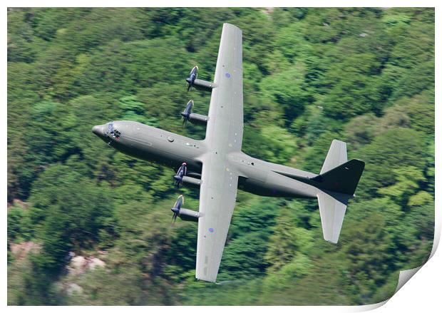 RAF Hercules C-130 Print by Rory Trappe