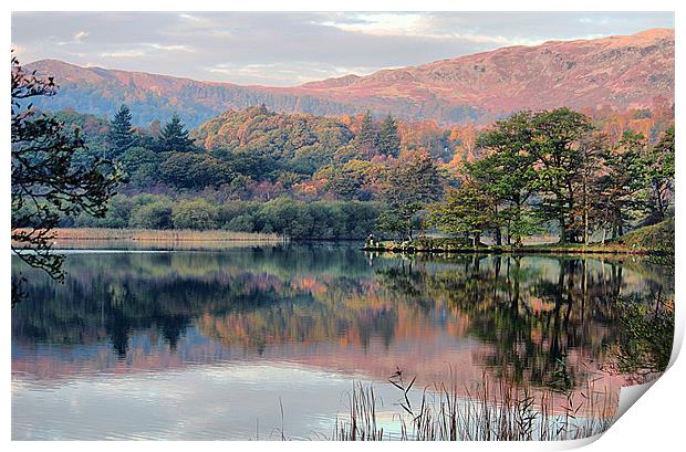 Early Morning Rydal Water. Print by Irene Burdell