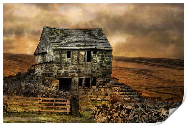 Derelict Cottage Print by Irene Burdell