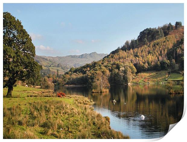 Autumn Rydal Water Print by Irene Burdell