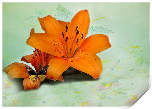 Lilies and butterfly . Print by Irene Burdell
