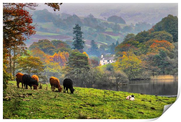 The Lake District Cumbria uk Print by Irene Burdell