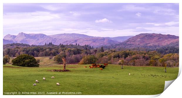 View from Wray Castle, Cumbria Print by Richie Miles