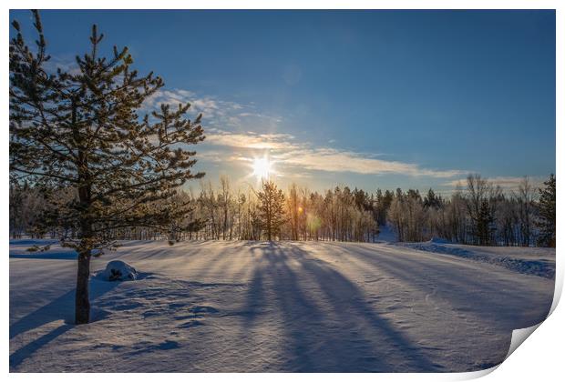 Snowy landscape in Karesuvanto Finland  160 miles  Print by Richie Miles
