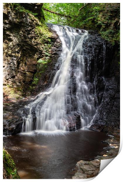 Hareshaw Linn waterfall Northumberland Print by Richie Miles