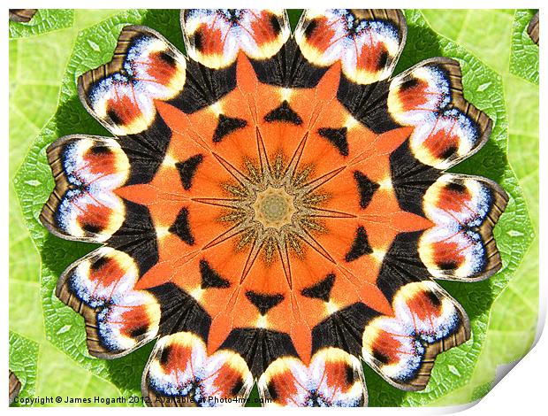 Peacock Butterfly Kaleidoscope Print by James Hogarth