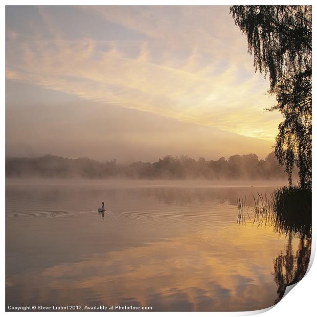 Virginia Water Lake Print by Steve Liptrot