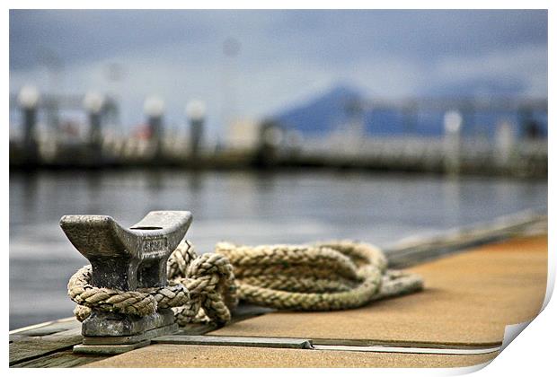 Cairns Marina, Australia Print by David McLean