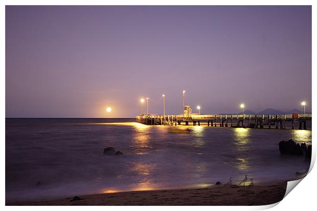 Palm Cove Jetty Print by David McLean