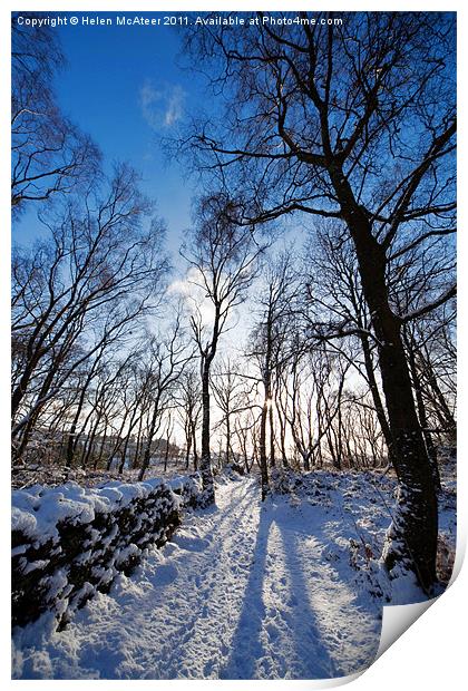 Woodland Path in Winter Print by Helen McAteer